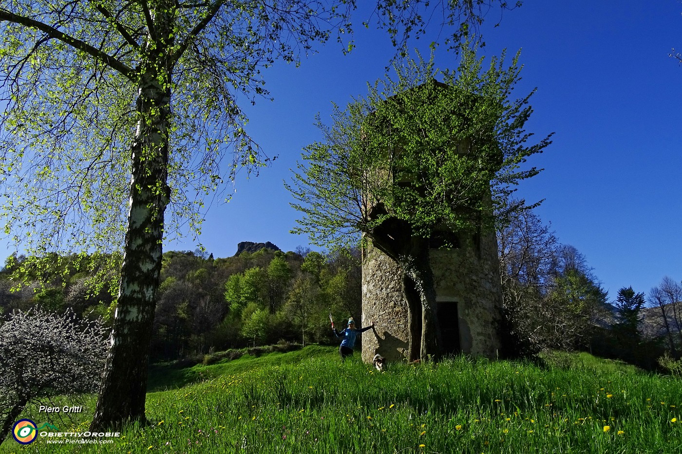 75 Rccolo di Reggetto-Torre degli Alpini con vista in Corno Zuccone.JPG -                                